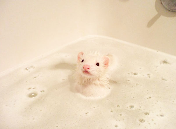 It's Bath Time!