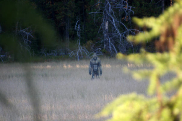 Art Teacher Makes Monster Statues With His Students And Places Them In Random Areas In Montana
