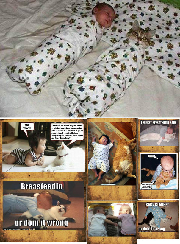 An Adorable Compilation