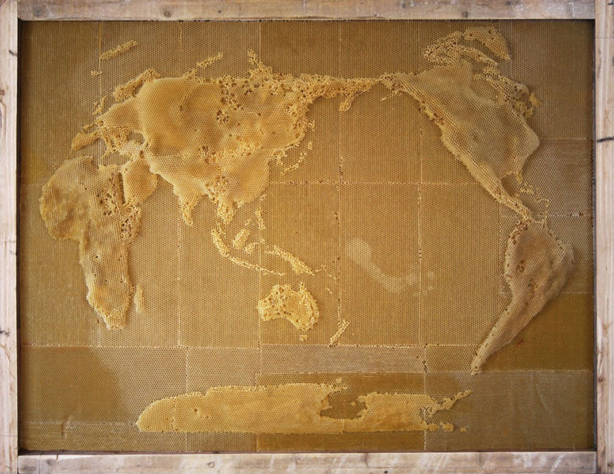 bees-honeycomb-beeswax-sculptures-ri-ren-11 bees-honeycomb-beeswax-sculptures-ri-ren-11