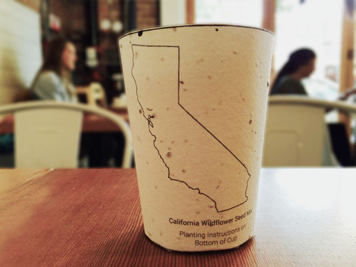 Biodegradable Coffee Cups Embedded With Seeds Grow Into Trees When Thrown Away