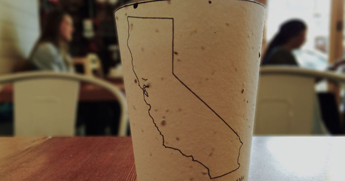 Biodegradable Coffee Cups Embedded With Seeds Grow Into Trees When Thrown Away