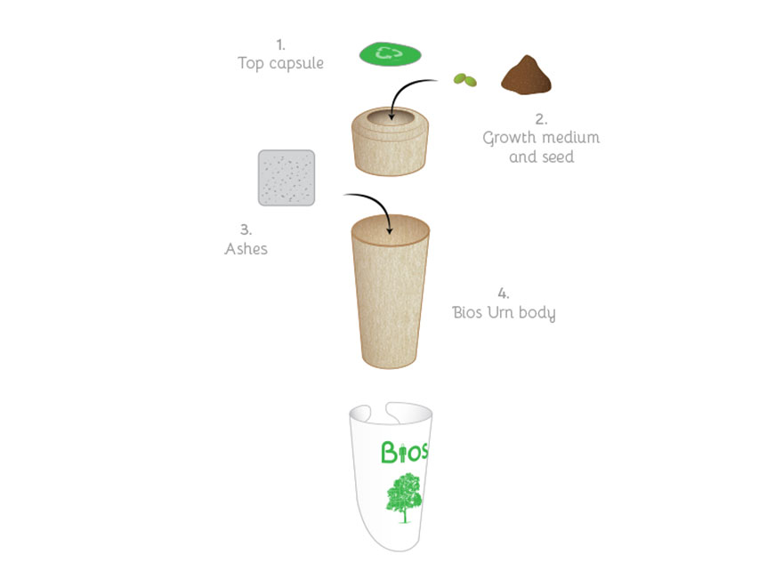 bios-urn-tree-after-life-biodegradable-2 bios-urn-tree-after-life-biodegradable-2