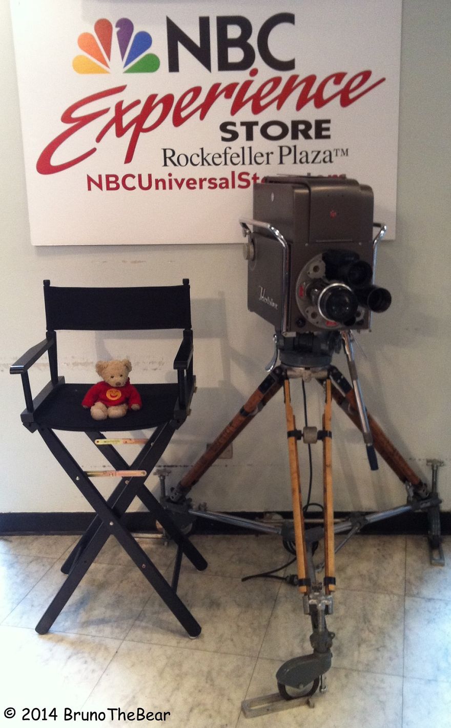 Everything Is Pawsibble: Pictures Of Bruno The Bear Travelling The World Everything Is Pawsibble: Pictures Of Bruno The Bear Travelling The World