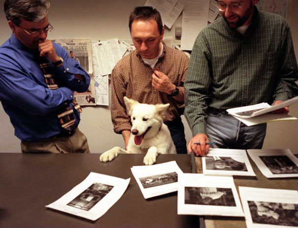 Take Your Dog To Work Day