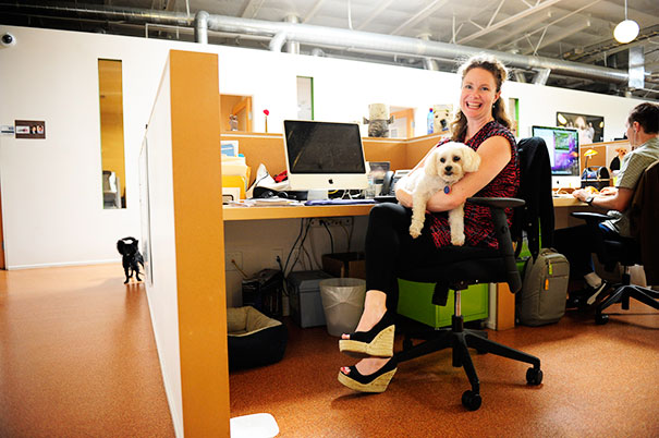 Erin Mccormack Poses With Her Dog, Dolly, A Maltese Mix