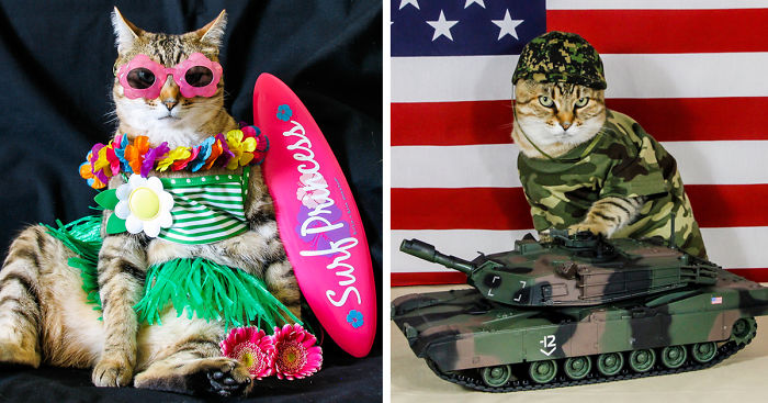 The Best Dressed Cat On The Internet