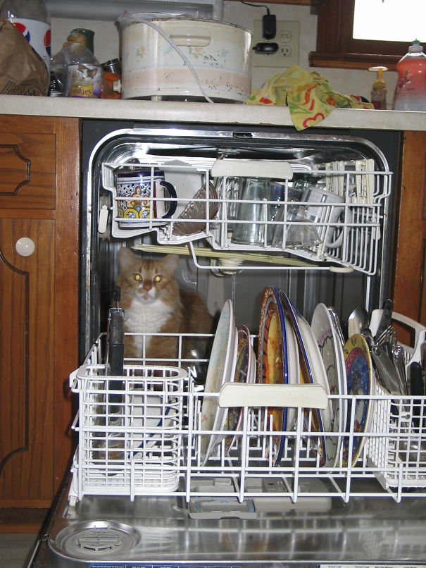 What Are Those Glowing Orbs?