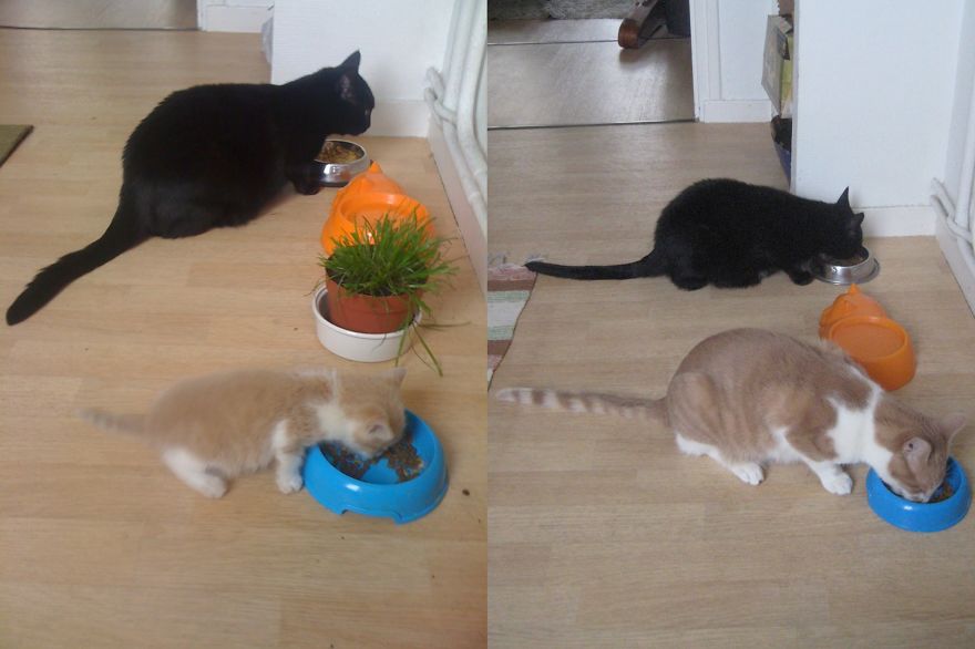 The Student Has Become The Master