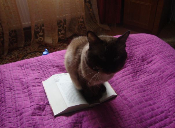 Holographic Bookmark!