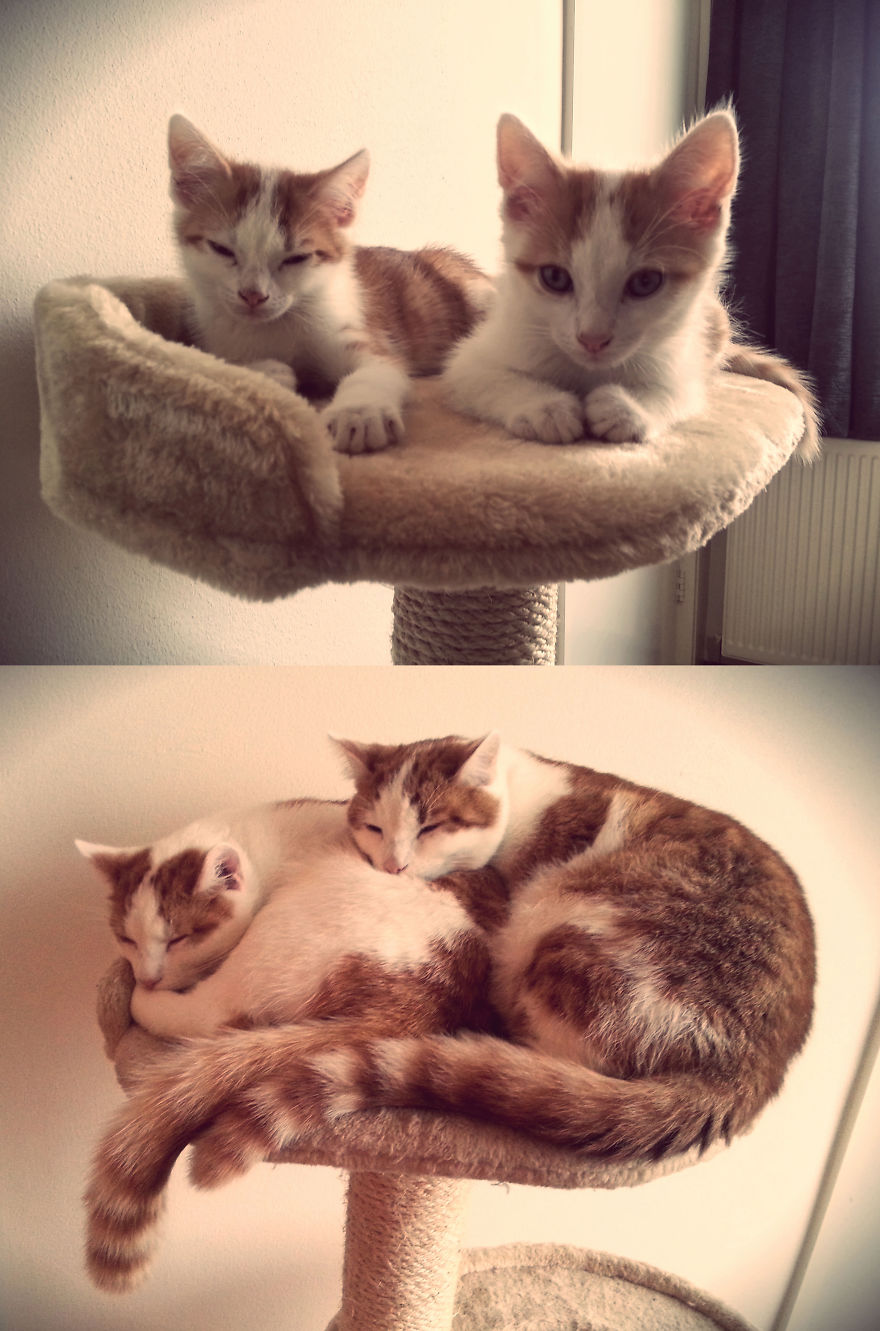 Does It Still Fit? Of Course, Why Not?!