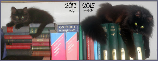 Books Give You A Better Perspective