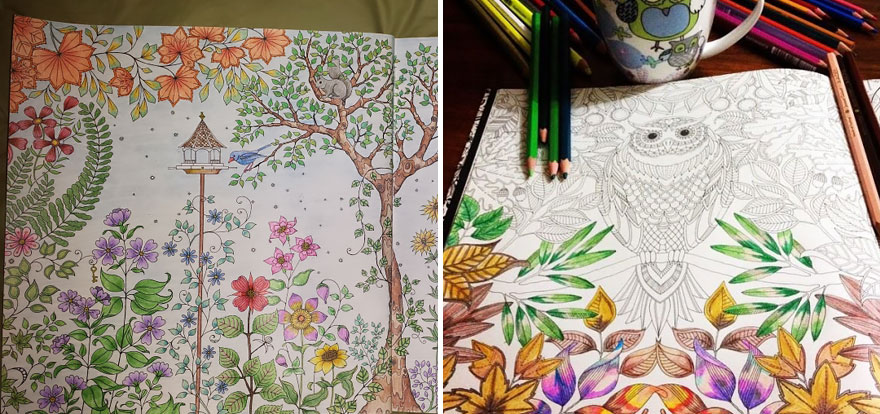 Artist Creates Adult Coloring Books And Sells More Than A Million Copies