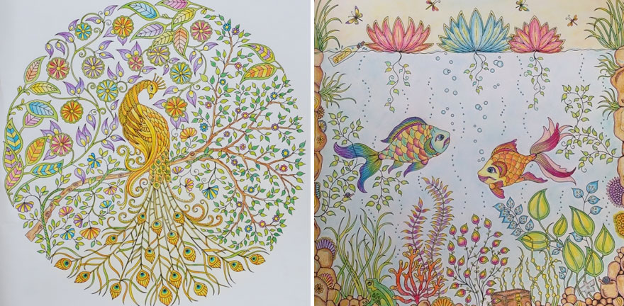 Artist Creates Adult Coloring Books And Sells More Than A Million Copies