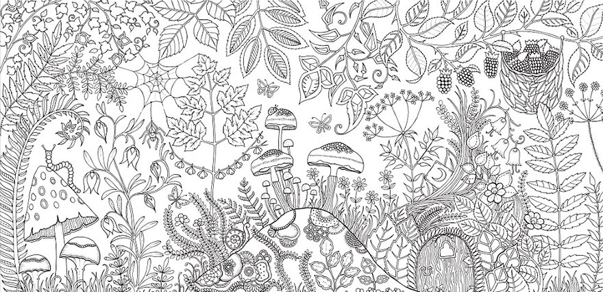 Artist Creates Adult Coloring Books And Sells More Than A Million Copies