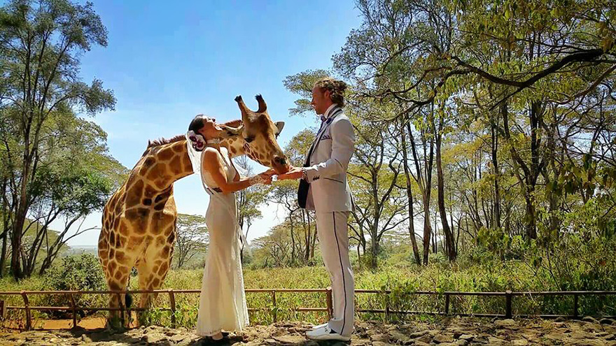 couple-wedding-around-the-world-travel-cheetah-rhiann-11 couple-wedding-around-the-world-travel-cheetah-rhiann-11