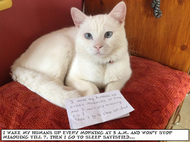 Our Broken Alarm Clock