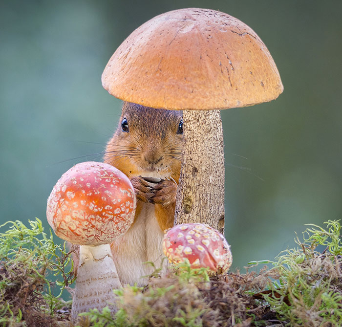 The View I See Through My Kitchen Window Every Day