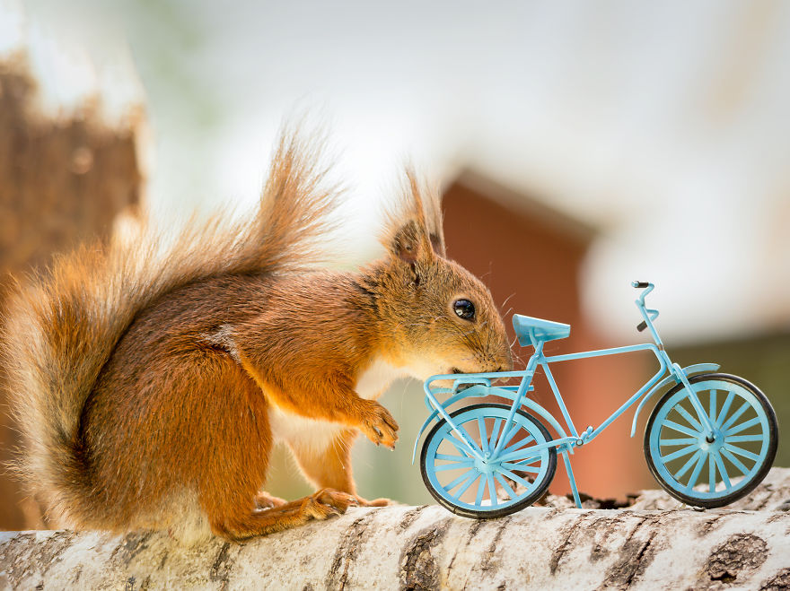 A Professional Painter And I Combined Our Works Into One Exhibition