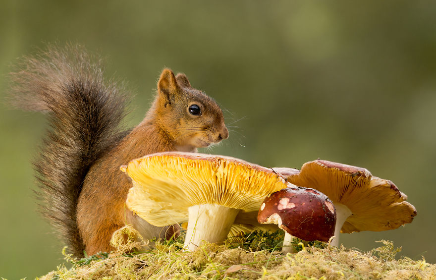 The View I See Through My Kitchen Window Every Day