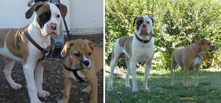 My Babies Then And Now At Two Years Old