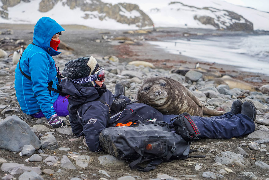 Cold Yet Beautiful Photos Of Antarctica Taken By AirPano