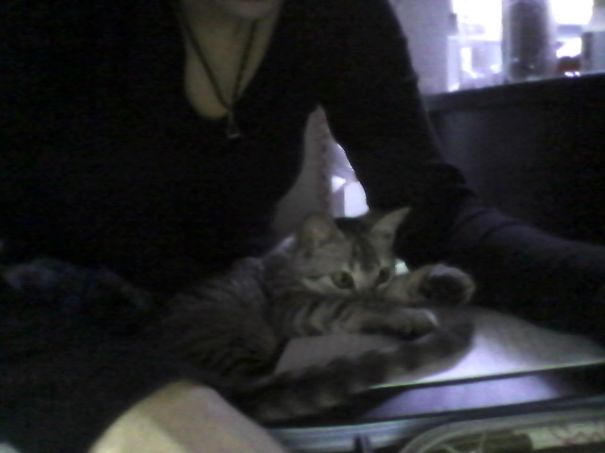 You've Studied Enough! It's Bedtime Now!