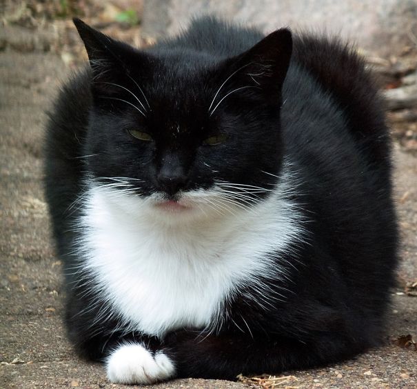 I Will Kill You Tonight! (this Is Evil Missy Who No Longer Lives With Me)