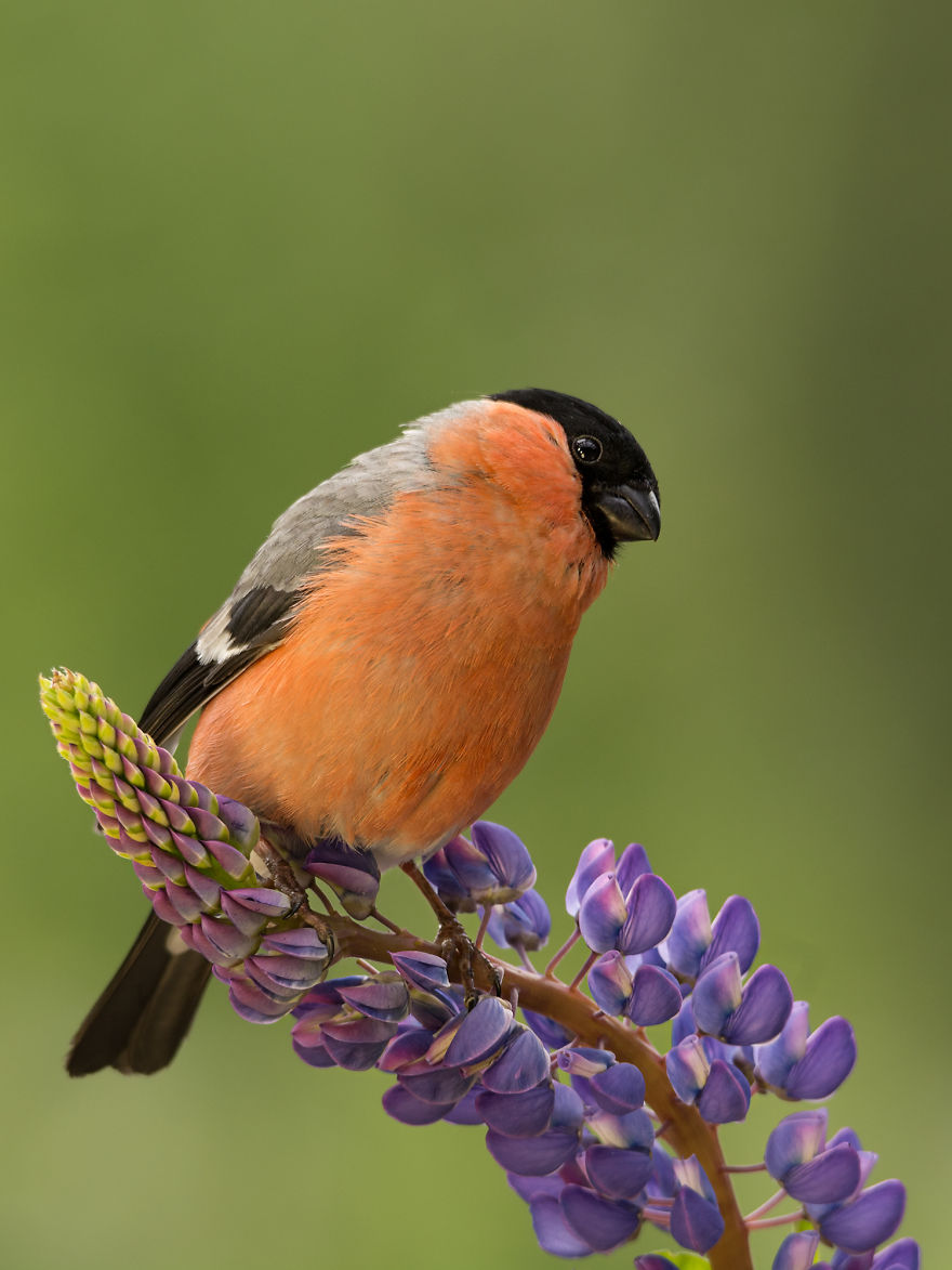 A Professional Painter And I Combined Our Works Into One Exhibition