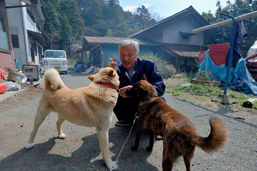 fukushima-radioactive-disaster-abandoned-animal-guardian-naoto-matsumura-17 fukushima-radioactive-disaster-abandoned-animal-guardian-naoto-matsumura-17