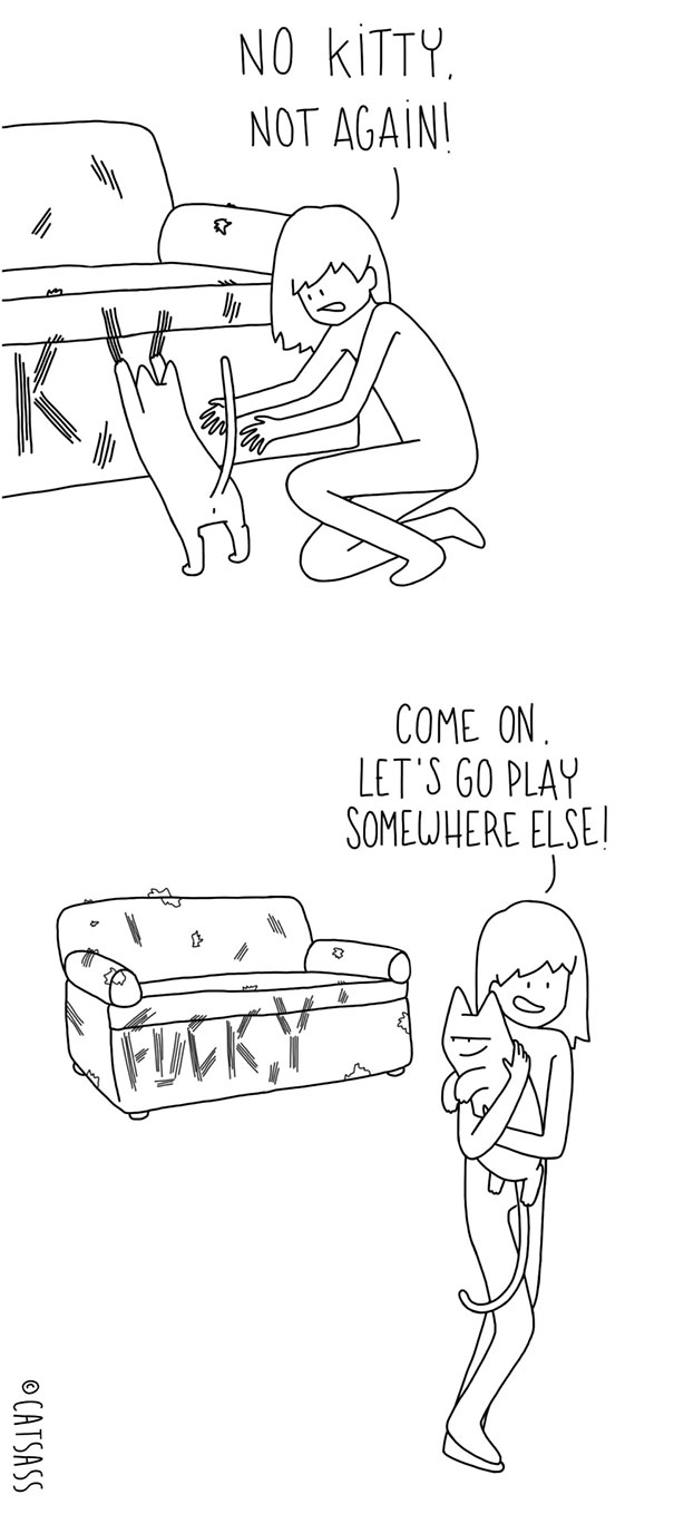 funny-cat-comic-strip-catsass-claude-combacau-20 funny-cat-comic-strip-catsass-claude-combacau-20