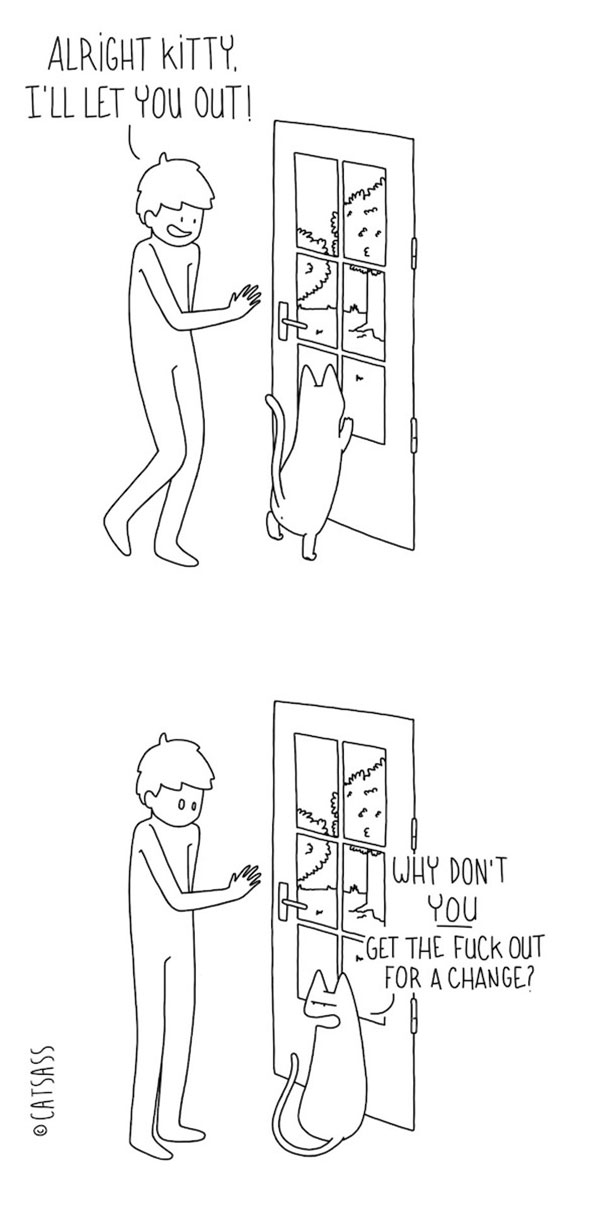 funny-cat-comic-strip-catsass-claude-combacau-8