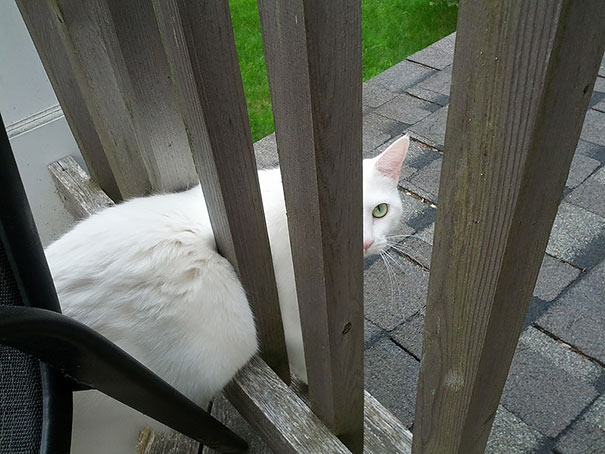 I've Made A Huge Mistake