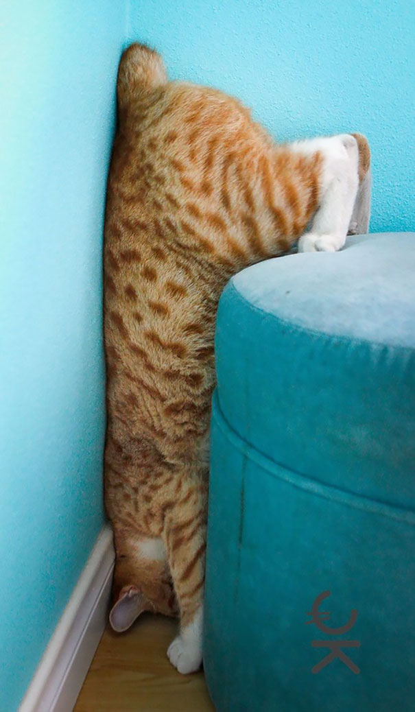 I've Made A Huge Mistake