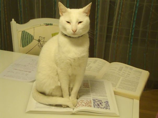 Oh So You Needed That?