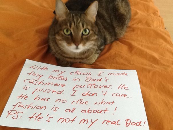 Victim Of Fashion Or Just A Naughty Boy?