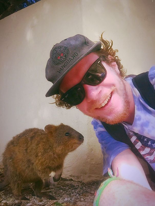 #quokkaselfie