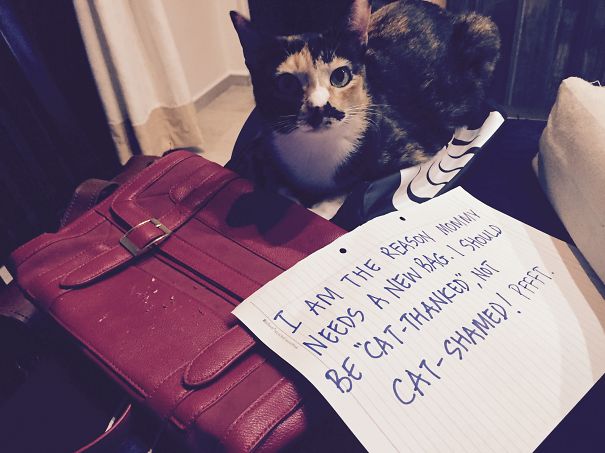 Time For A New Bag, Mom.