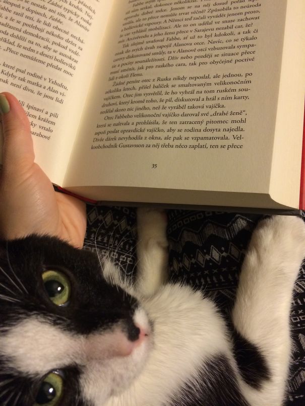 Okay, Just Tell Me How It Ends So I Can Chase My Tail Again