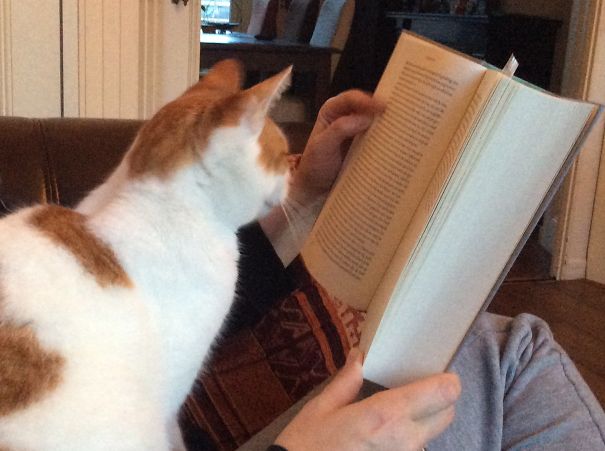 Luckily We Like The Same Literature