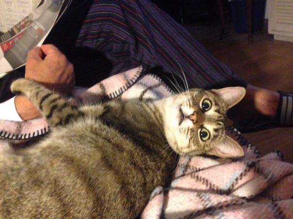 I Get Crazy When Dad Reads The Paper