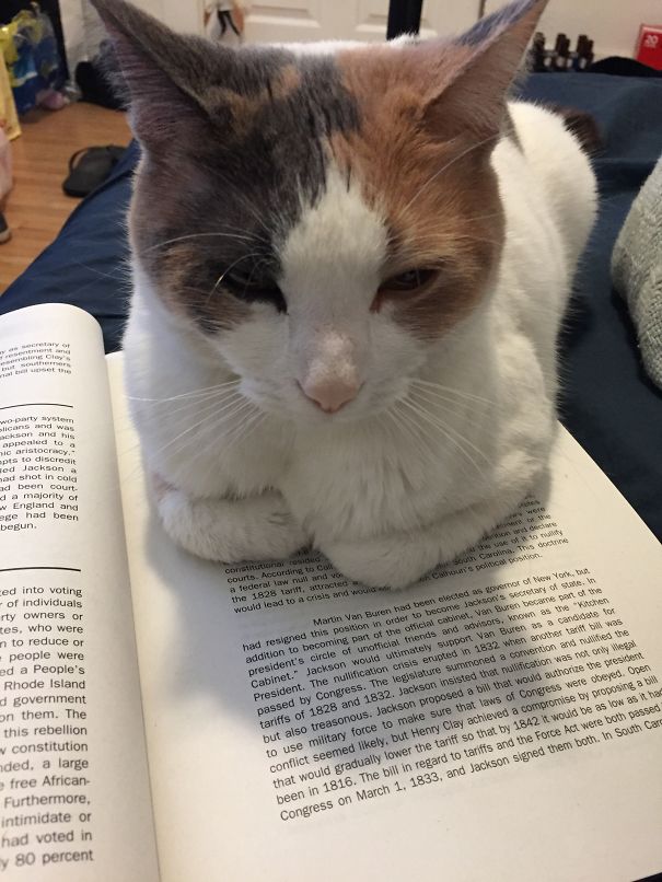 Studying? What's That?