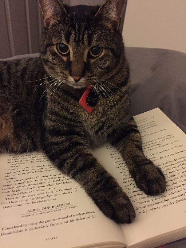 How About You Focus On Me Now?