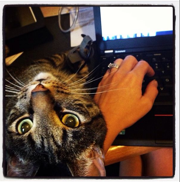 Let Me Help You With You That.