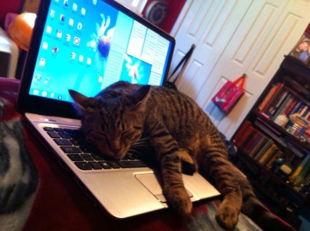 Who Needs To Start That Paper Anyway?