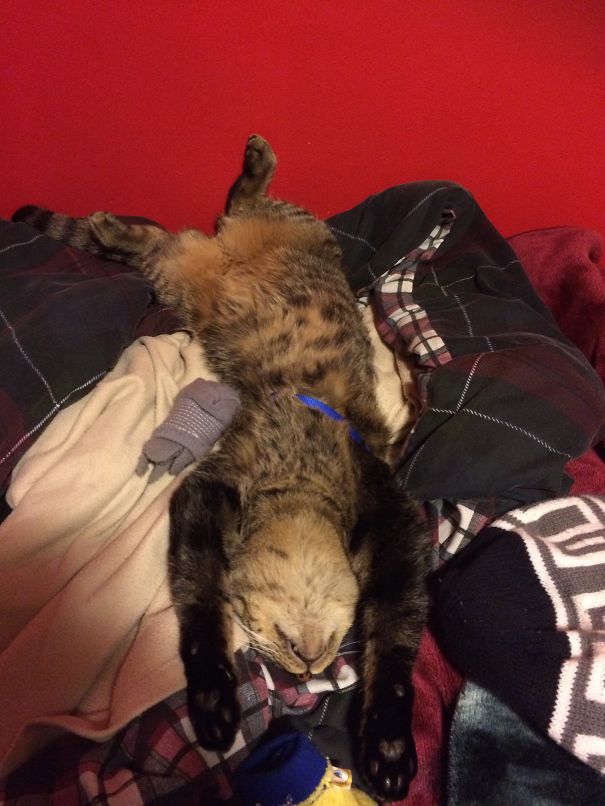 You Wanted To Go To Bed Too?