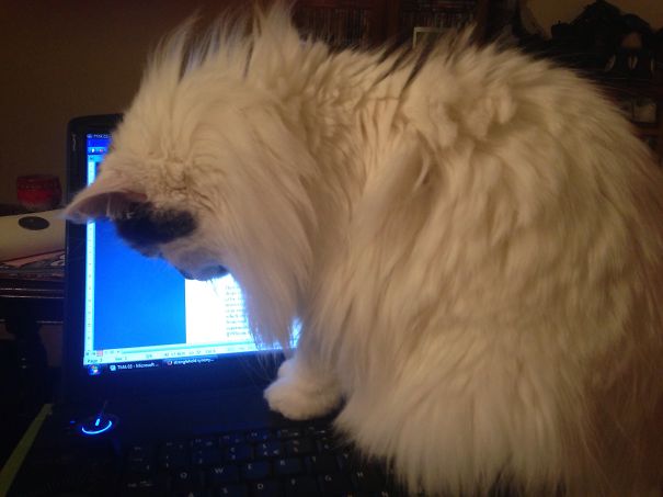 Enough Studying Mum, Where's The Off Button?