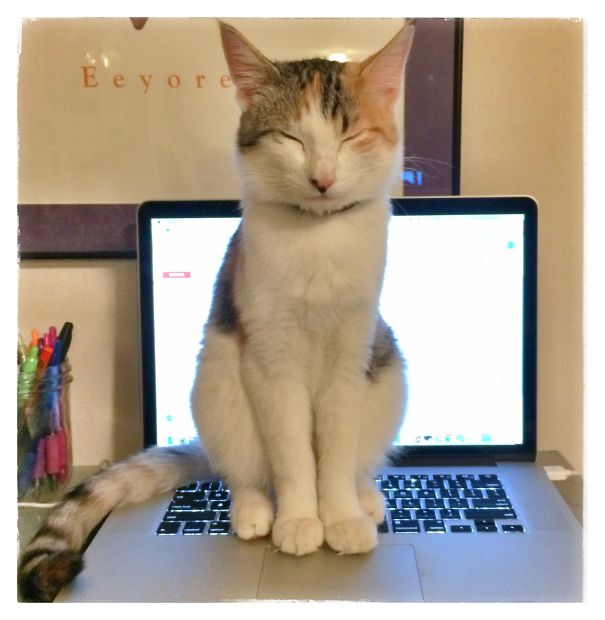 No More Reading!!! Pay Attention To Me!!!