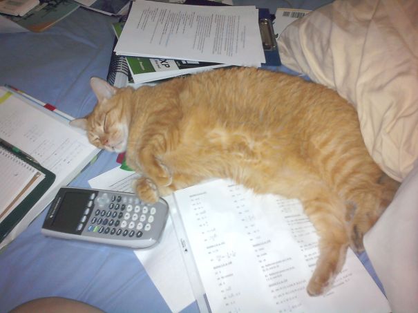 You Are So Done With Algebra Today!