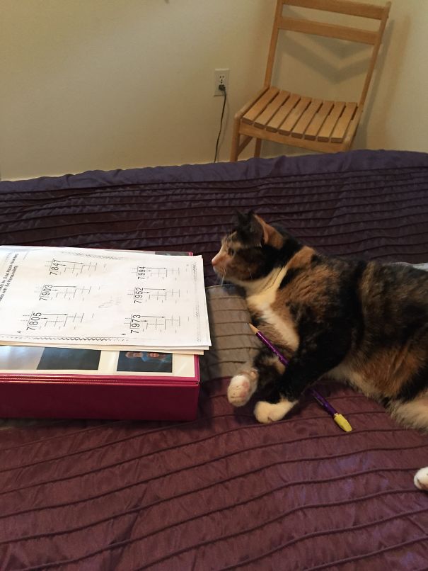 Yep! I'm Doing Math.